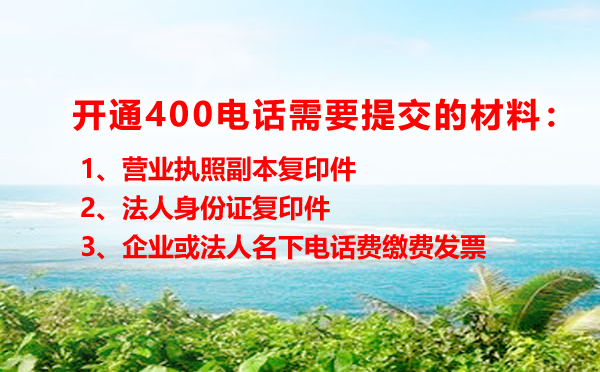 申请400电话需要提供什么材料